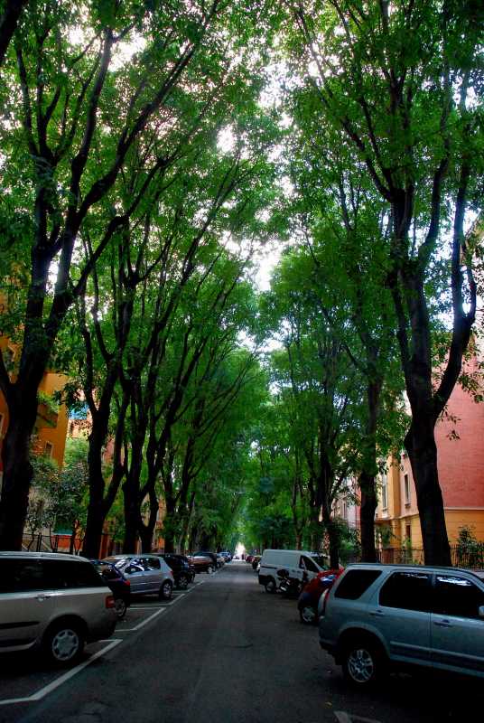 Veduta di Via Agnesi a Bologna