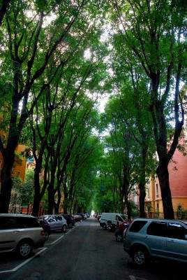 Veduta di Via Agnesi a Bologna