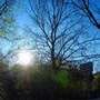 Il giardino Edmea Pirami all'incrocio fra via Abba e via Mario a Bologna.