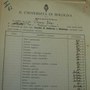 Certificato di laurea in medicina e chirurgia  [Archivio storico dell'Università  di Bologna] 