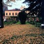 Orto botanico, dipartimento di biologia vegetale, Università  di Torino. [Giacobini, 2003, p. 114. Foto di Davide Barasa, Torino]. 