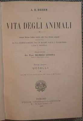 Frontespizio di 'La vita degli animali' di Alfred Brehm, 2a edizione italiana Traduzione di M. Lessona. Torino 1893. 