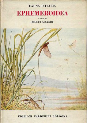 Frontespizio della monografia di Marta Grandi 'Ephemeroidea' (1960). Con permesso di Lea Grandi.