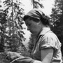 Maria Matilde Principi impegnata nel luglio 1960 a Cavalese nella raccolta di insetti neurotteri. Con permesso di Maria Matilda Principi.