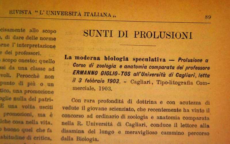 Sunto di Prolusione scritto da Elisa Norsa e pubblicato su l'Università Italiana.