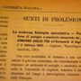 Sunto di Prolusione scritto da Elisa Norsa e pubblicato su l'Università Italiana.
