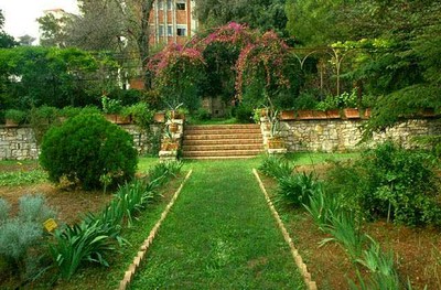 L'Orto botanico di Bari