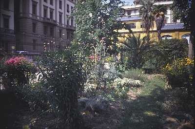 L'Orto botanico di Firenze, o Giardino dei Semplici