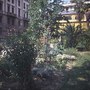 L'Orto botanico di Firenze, o Giardino dei Semplici
