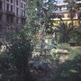 L'Orto botanico di Firenze, o Giardino dei Semplici