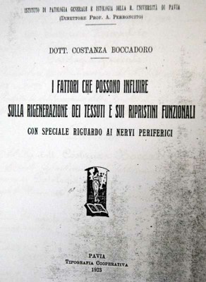 Tesi per la libera docenza in patologia generale, 1923 [Meazzini, s.d.]